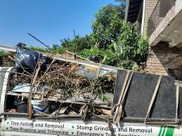 Best Attic Cleanout  in Dadeville, AL